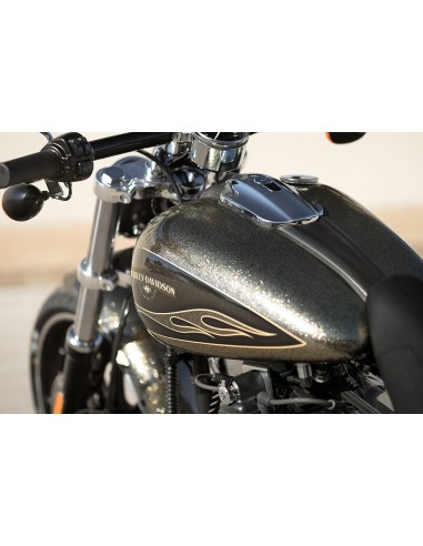 Metal Flakes Silver 08 Original American HD...