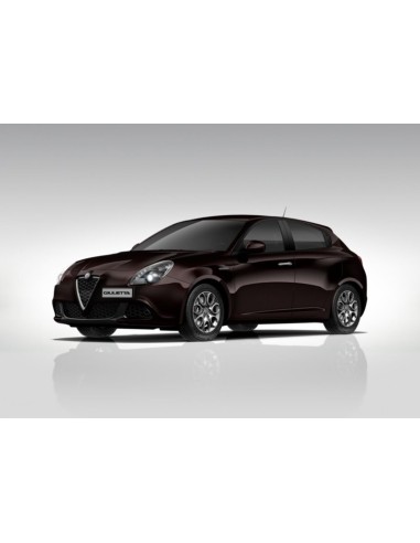 Colore Acrilico Nero Etna - Alfa Romeo - per...