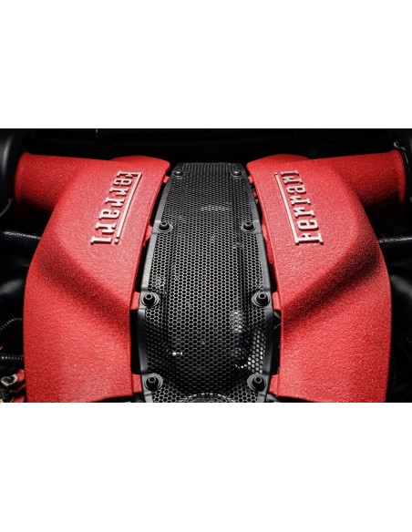 Vernice Raggrinzante XL Rosso Ferrari Alta Temperatura Motore - 500gr