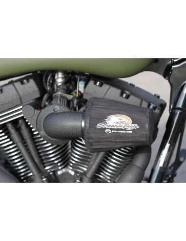 Vernice Raggrinzante Spray Nero Profondo Harley...