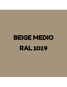 Resina Pavimenti Beige Medio Opaco Ral 1019 Garage...