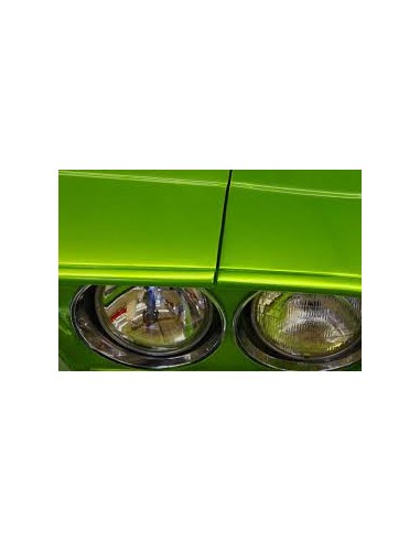 Colore Candy Base Opaca a Solvente Toxic Green